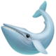 whale2
