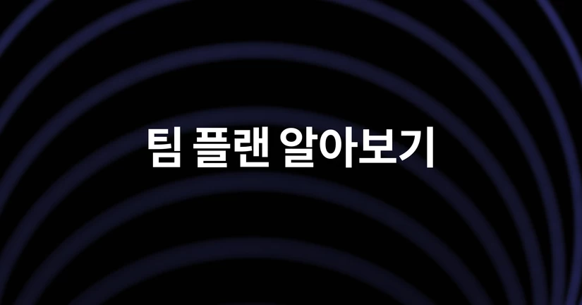 슈퍼로이어 팀 플랜 안내