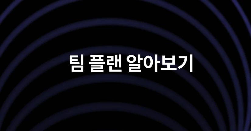 슈퍼로이어 팀 플랜