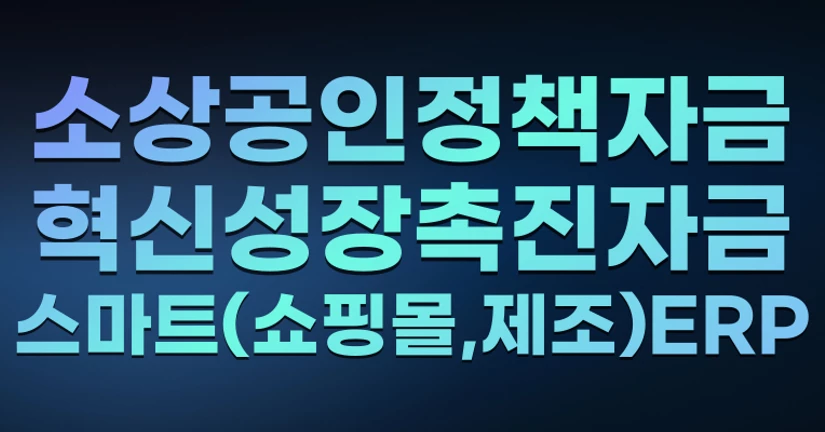 소상공인정책자금-혁신성장촉진자금-스마트 쇼핑몰, 제조업(ERP)