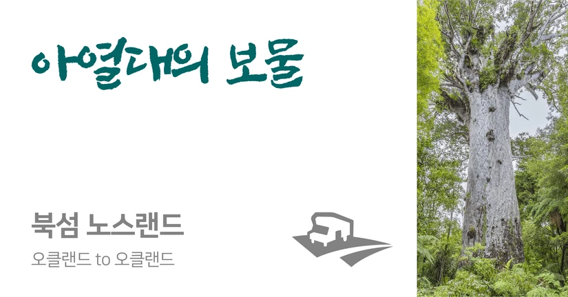 오클랜드 to 노스랜드 (8일 왕복일정)