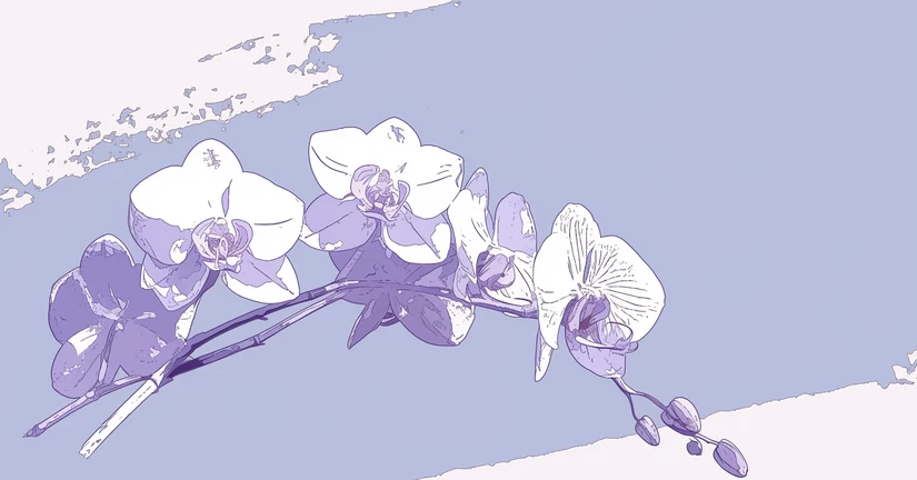 제작자 사담 및 공지