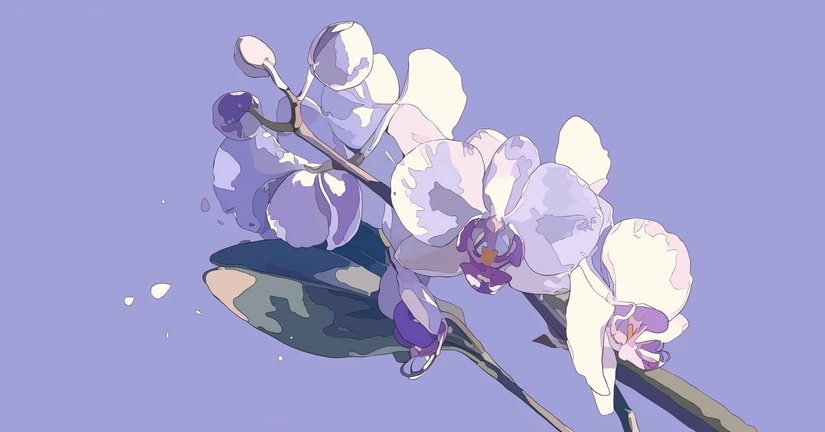 Character Photo Album