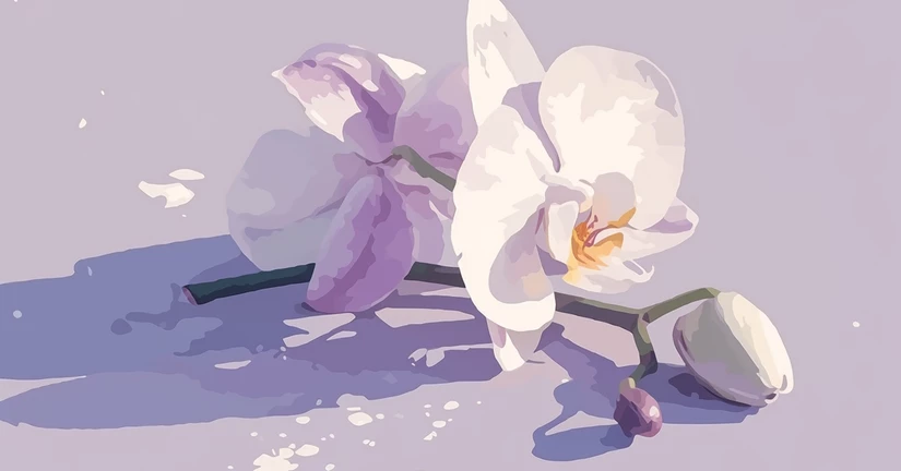 Regarding My Activities as nancho