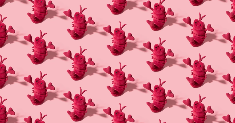 개인화(이니셜,각인)서비스 제공 여부