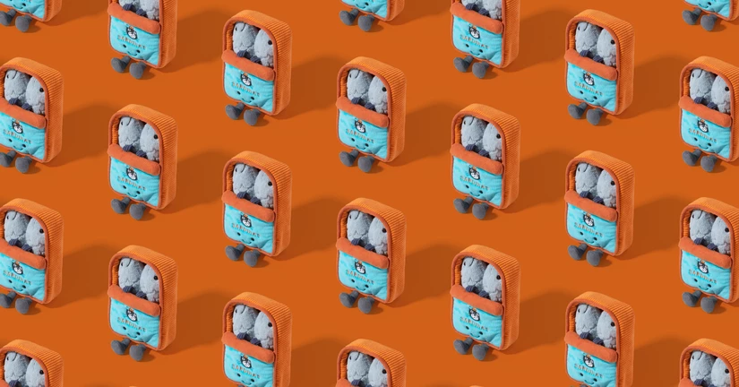 공식사이트 안내