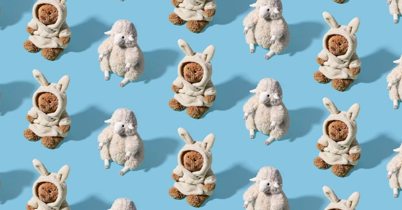 신제품 출시 일정