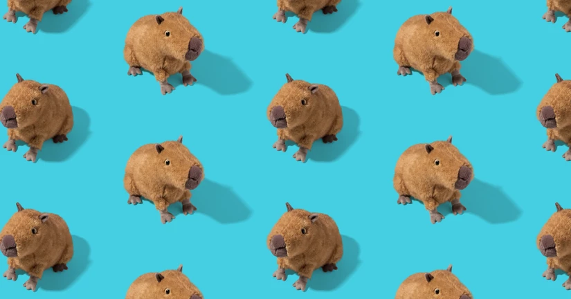 Clyde Capybara Hipster - Selfridges