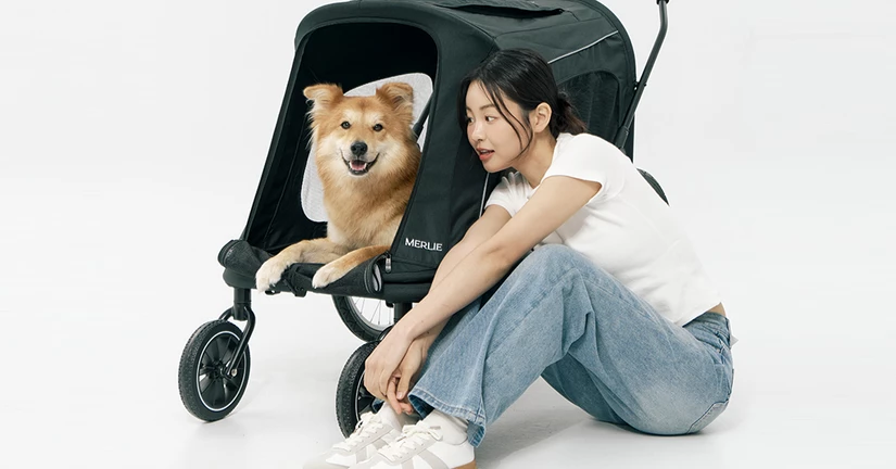 웨건 라인업