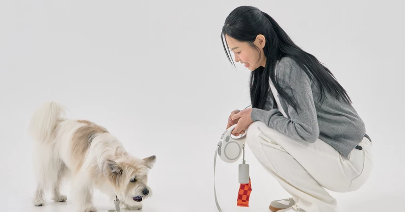 산책용품 라인업