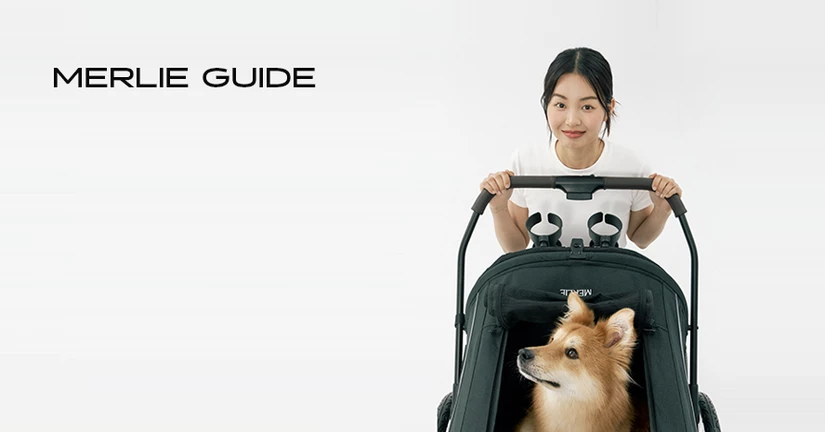 멀리 이용 가이드