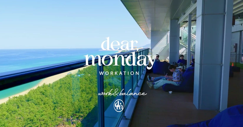 🪄 신규 오픈 안내