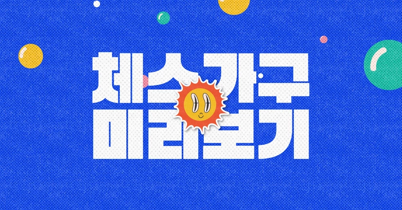 체스 가구