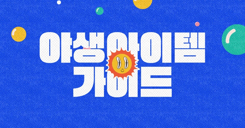 야생 아이템