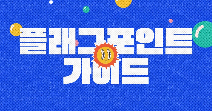 플래그 포인트