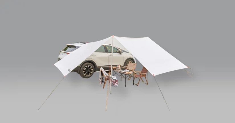 레드와일드 스페이스 카타프