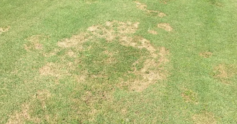 테이크 올 패치