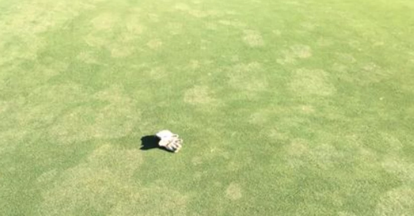 테이크 올 루트 랏 디클라인