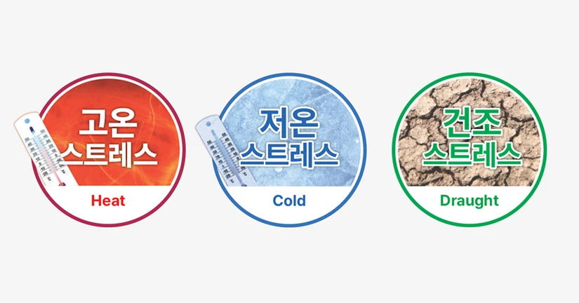 잔디의 다양한 스트레스