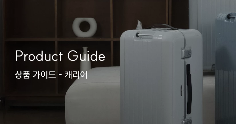 상품 가이드 - 캐리어 