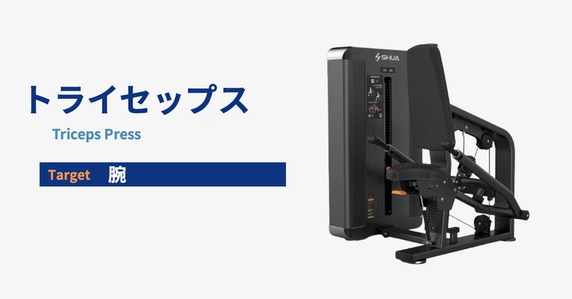 トライセップス