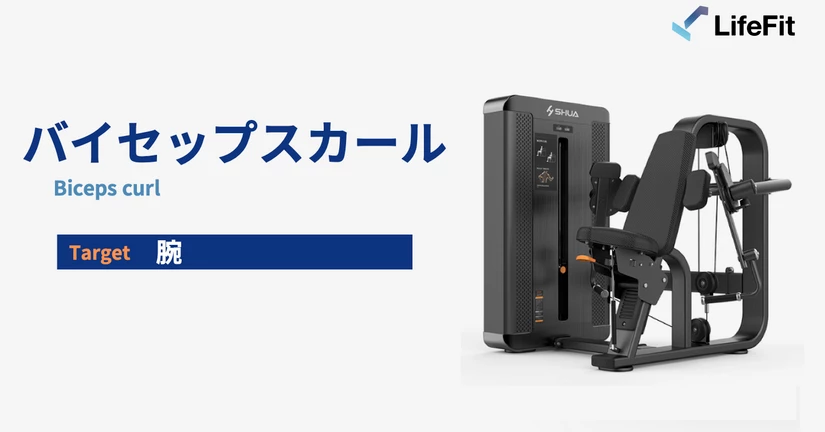 バイセップスカール