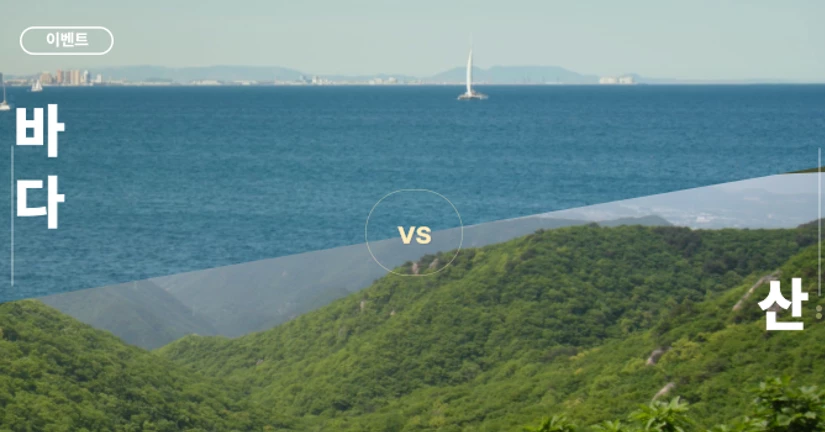 [이벤트] 드라이버님들의 취향은? (산 or 바다)