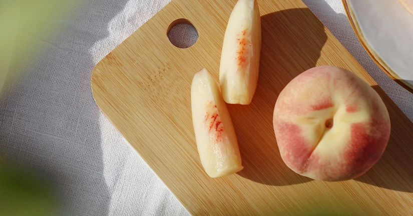 [당첨자 발표] 센디 여름 이벤트 9주차 당첨자 발표