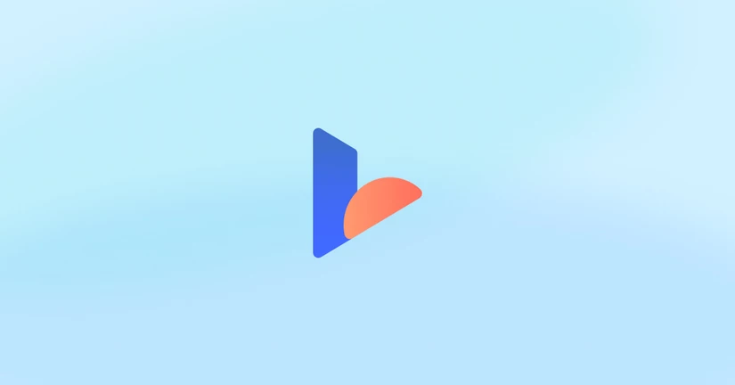 1위 브랜드들의 선택, 브이리뷰란? 